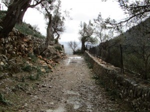 IMG_4580 (Medium)